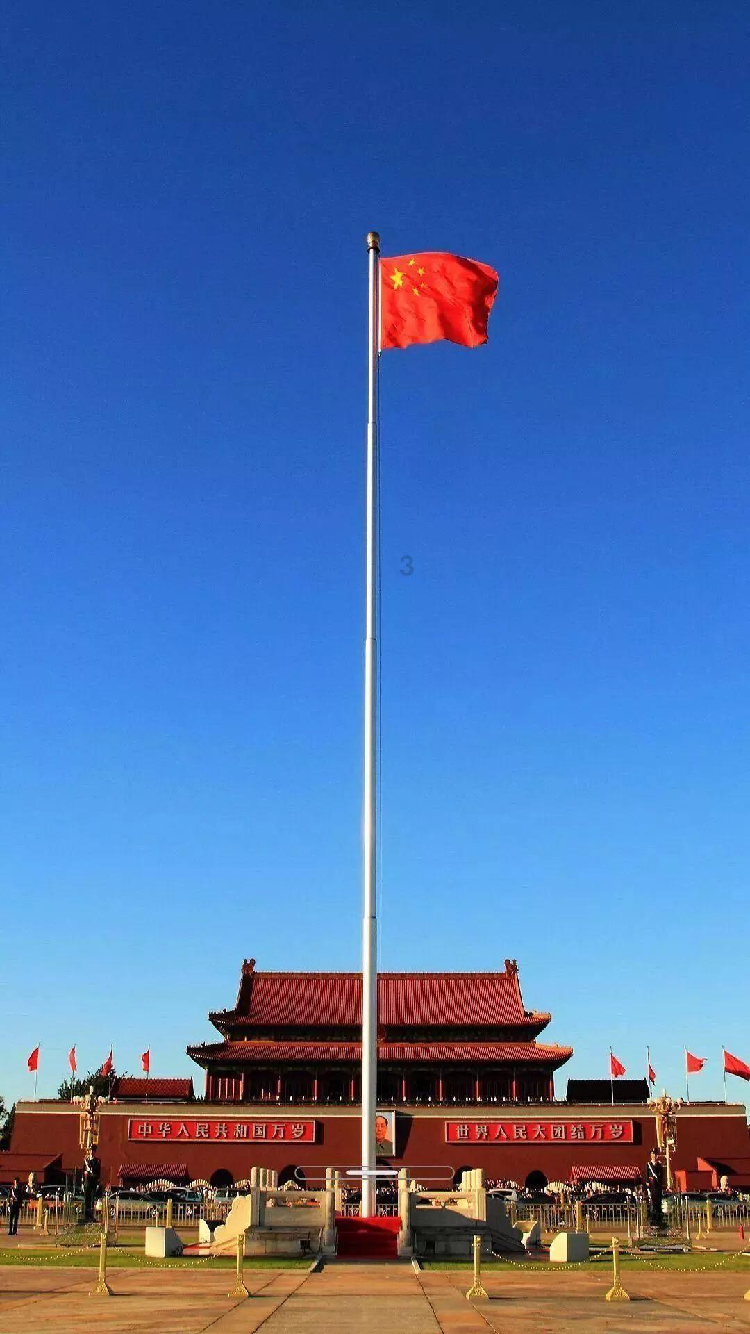 救援可爱小猪仔